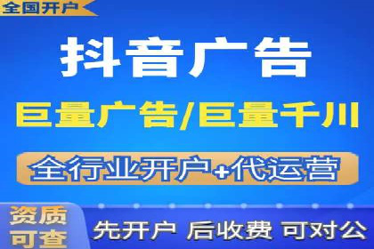 行业报告：专业SEM托管的成功实践与挑战
